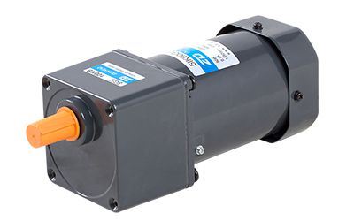90mm 90W Induction Motor