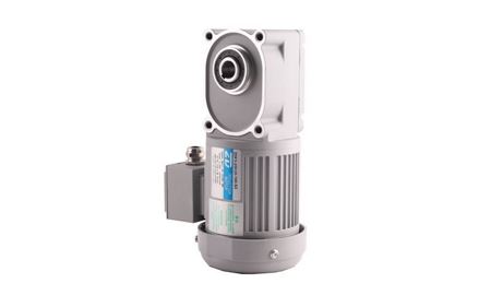 100W F2/F3 Hypoid Gear Motor