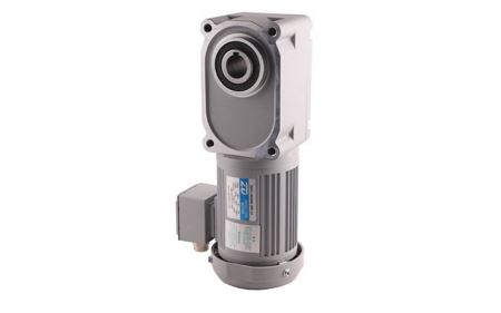 200W F2/F3 Hypoid Gear Motor